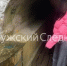 СУ СК России по Калужской области - Kaluga-Poisk.Ru