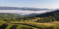 Минсельхоз включит Краснодарский край в программу зерновых интервенций - Кубанские Новости