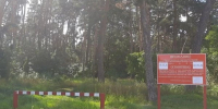 Власти продлили противопожарный режим в лесах Грайворонского округа - Сетевое издание Родной край 31