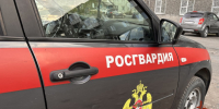 В Туве экипаж Росгвардии задержал мужчину, причинившего тяжкий вред потерпевшему - Росгвардия