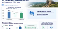 Аналитический обзор: динамика занятости и движение кадров в Республике Башкортостан во II квартале 2026 года - Институт стратегических исследований