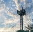МТС накрыла сетью 4G городской парк Кинеля на озере Ладное - ProGorodSamara.Ru