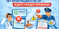 профилактике нарушений обязательных требований,   зафиксированных государственной информационной системой мониторинга за оборотом товаров, подлежащих обязательной маркировке средствами идентификации – ГИС МТ - Усманский муниципальный район