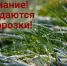 Информация о неблагоприятных явлениях погоды. - Бабаевский муниципальный округ