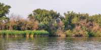 Новая трагедия на воде в Ростовской области - Big-Rostov.Ru