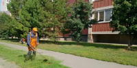 В городе продолжаются работы по покосу травы - Администрация г. Барнаул