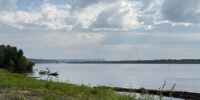 В реках Тюменской области практически полностью уничтожена рыба - Tobolsk.Info