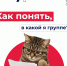 Как понять в какой я группе? - Технологический университет