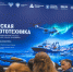 В Мурманске появится первый в стране научно-производственный центр мультисредных автономных систем - Арктик-ТВ