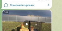 Звериный оскал - ИА СоцИнформБюро