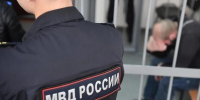 арестант - ИА Малая Родина