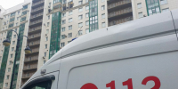 Амстафф искусал голову 5-летней девочки в Петербурге. Дети подошли погладить собаку - 47 новостей