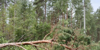 Фото из канала Веры Кондратьевой - InformPskov.Ru