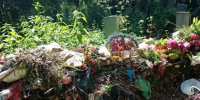 Ярославский губернатор потребовал наладить вывоз мусора с кладбищ - YarNews.Ru