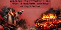 Диверсии «по глупости»: как посты в соцсетях работают на террористов - ККИ РУК