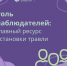 Роль наблюдателей: главный ресурс остановки травли - ККИ РУК