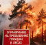 О введении режима ограничения пребывания граждан в лесах - Газета Призыв