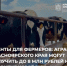 Красраб. Сибирский новостной портал - Газета Красноярский рабочий