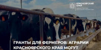 Красраб. Сибирский новостной портал - Газета Красноярский рабочий