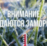 В ночные часы  28,29 и 30  августа ожидаются заморозки. - Вилегодский муниципальный округ