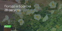 Поделитья во ВКонтакте - Братская Студия Телевидения