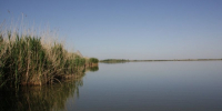 В Ростовской области число погибших на воде достигло 33 - Городской репортёр