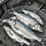 Житель Ельца выплатит штраф в размере почти 90 тысяч рублей за незаконную рыбалку на реке Быстрая Сосна. - Народное слово
