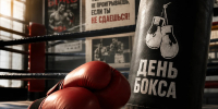 Что посмотреть в Международный день бокса - Северный город
