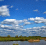 Северный ветер - MyOmutninsk.Ru