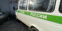 В Курской области приставы побудили должницу заплатить алименты сыну - Курские Известия