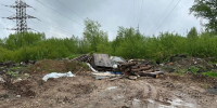 В Рамешковском районе виновный возместил ущерб, причиненный незаконной свалкой - Афанасий-биржа