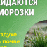 Ожидаются заморозки. - Катайский муниципальный округ