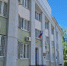 Костромичка подала в суд на администрацию региона после наезда на лося - Комсомольская Правда