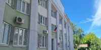 Костромичка подала в суд на администрацию региона после наезда на лося - Комсомольская Правда