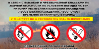 В Калмыкии повторно вводятся временные ограничения на пребывание в лесах из-за угрозы пожаров - РИА Калмыкия