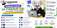 Стартовал набор на новый учебный год в IT-школу «Камышонок» - Технологический институт