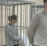 Соратница Туркина из ФКР вышла на свободу - ИА Русский Запад