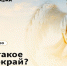 Соцсеть для умерших запустили в Красноярске - Комсомольская Правда