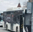 Количество автобусов увеличат в Ростове к началу учебного года - Панорама