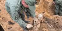 «Победа26» помогла найти родных красноармейца, погибшего в лагере у Сталинграда - ИА Победа 26