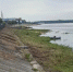 В Рыбинске расчистили от зарослей берег Волги - Комсомольская Правда