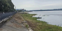 В Рыбинске расчистили от зарослей берег Волги - Комсомольская Правда