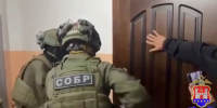 Житель Славского района устроил наркоплантацию в теплице - Комсомольская правда