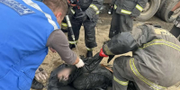 Двое рабочих отравились канализационными газами под Богородском: один насмерть - НИА Нижний Новгород