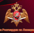 Жители Липецкой области добровольно сдали 27 единиц оружия за месяц - Росгвардия