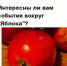 опрос яблоко сайт.jpg - ИА Русский Запад
