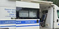 Вакцинация животных от бешенства пройдет в Вороново - Управа района Вороново