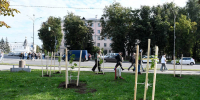 Фото: канал Бориса Елкина в мессенджере Max - InformPskov.Ru