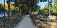 В Краснодаре благоустроят общественную территорию рядом с Платановым бульваром - Комсомольская Правда