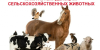 Вниманию владельцам с/х животных и птиц. - Усманский муниципальный район
